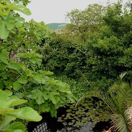 Villa Pasa Lak
